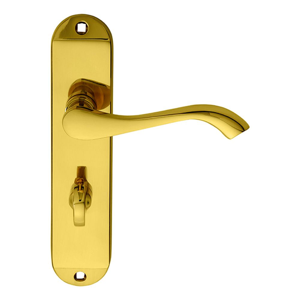 This is an image of Carlisle Brass - Andros Lever on WC Backplate - Polished Brass available to order from T.H Wiggans Architectural Ironmongery in Kendal, quick delivery and discounted prices.