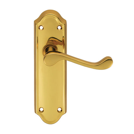 This is an image of Carlisle Brass - Ashtead Lever on Latch Backplate - Polished Brass available to order from T.H Wiggans Architectural Ironmongery in Kendal, quick delivery and discounted prices.