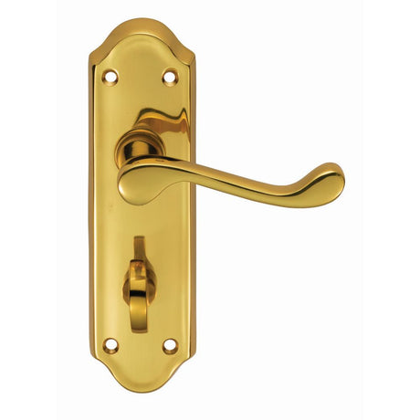 This is an image of Carlisle Brass - Ashtead Lever on WC Backplate - Polished Brass available to order from T.H Wiggans Architectural Ironmongery in Kendal, quick delivery and discounted prices.