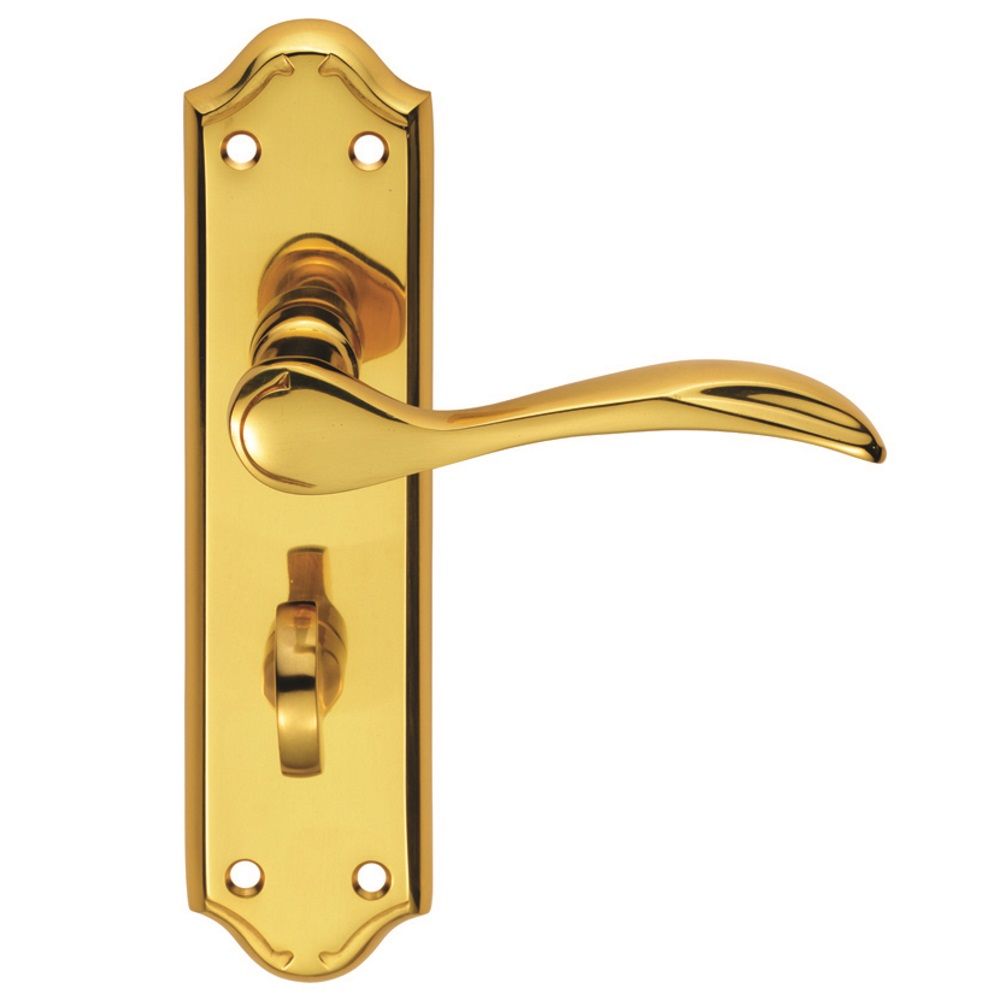 This is an image of Carlisle Brass - Madrid Lever on WC Backplate - Polished Brass available to order from T.H Wiggans Architectural Ironmongery in Kendal, quick delivery and discounted prices.