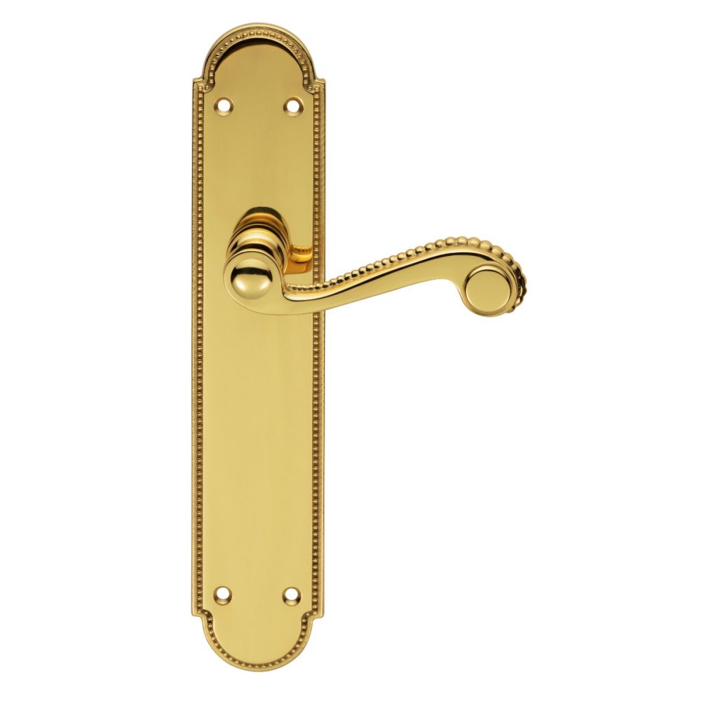 This is an image of Carlisle Brass - Chesham Lever on Long Latch Backplate - Polished Brass available to order from T.H Wiggans Architectural Ironmongery in Kendal, quick delivery and discounted prices.