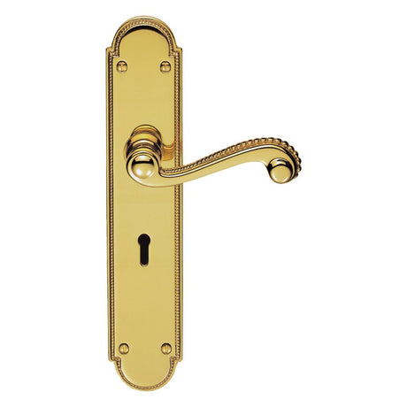 This is an image of Carlisle Brass - Chesham Lever on Long Lock Backplate - Polished Brass available to order from T.H Wiggans Architectural Ironmongery in Kendal, quick delivery and discounted prices.