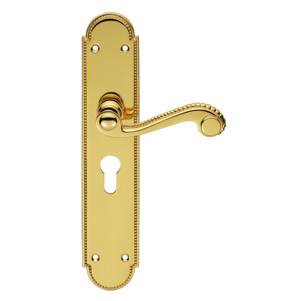 This is an image of Carlisle Brass - Chesham Lever on Euro Lock Long Backplate - Polished Brass available to order from T.H Wiggans Architectural Ironmongery in Kendal, quick delivery and discounted prices.