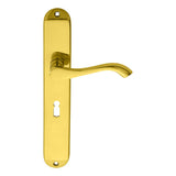 This is an image of Carlisle Brass - Andros Lever on Long Lock Backplate - Polished Brass available to order from T.H Wiggans Architectural Ironmongery in Kendal, quick delivery and discounted prices.