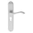 This is an image of Carlisle Brass - Andros Lever on Euro Lock Long Backplate - Satin Chrome available to order from T.H Wiggans Architectural Ironmongery in Kendal, quick delivery and discounted prices.