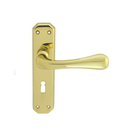 This is an image of Carlisle Brass - Eden Lever on Lock Backplate - Polished Brass available to order from T.H Wiggans Architectural Ironmongery in Kendal, quick delivery and discounted prices.