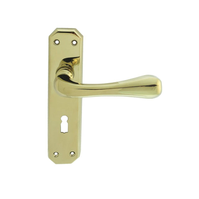 This is an image of Carlisle Brass - Eden Lever on Lock Backplate - Stainless Brass available to order from T.H Wiggans Architectural Ironmongery in Kendal, quick delivery and discounted prices.