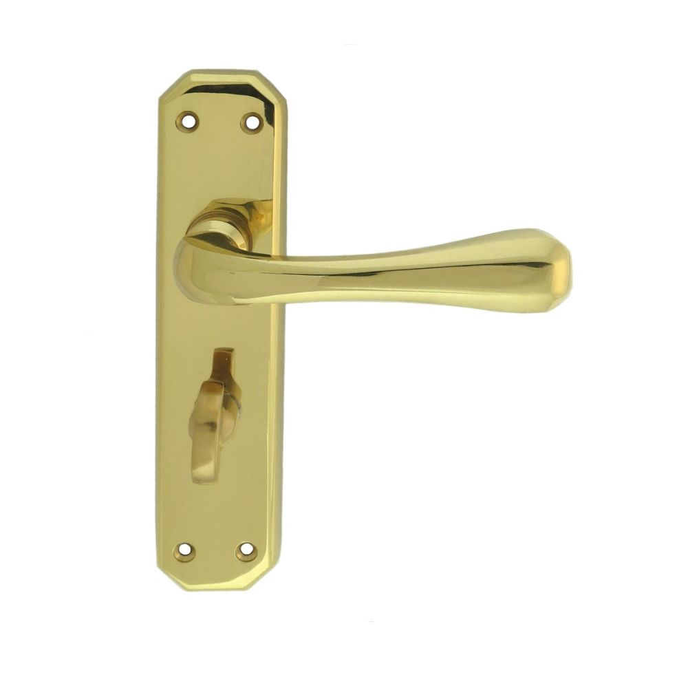 This is an image of Carlisle Brass - Eden Lever on WC Backplate - Polished Brass available to order from T.H Wiggans Architectural Ironmongery in Kendal, quick delivery and discounted prices.