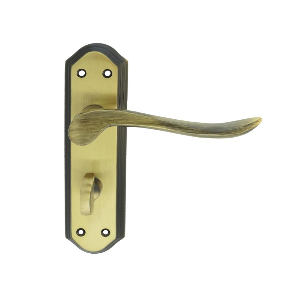 This is an image of Carlisle Brass - Lytham Lever on WC backplate - Florentine Bronze available to order from T.H Wiggans Architectural Ironmongery in Kendal, quick delivery and discounted prices.