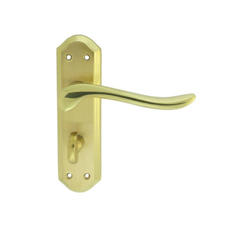 This is an image of Carlisle Brass - Lytham Lever on WC backplate - Dual Finish-Satin/Polished Brass available to order from T.H Wiggans Architectural Ironmongery in Kendal, quick delivery and discounted prices.