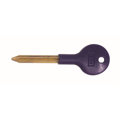 This is an image of a Carlisle Brass - Security Door Bolt Key - Blue Nylon that is availble to order from T.H Wiggans Architectural Ironmongery in Kendal.