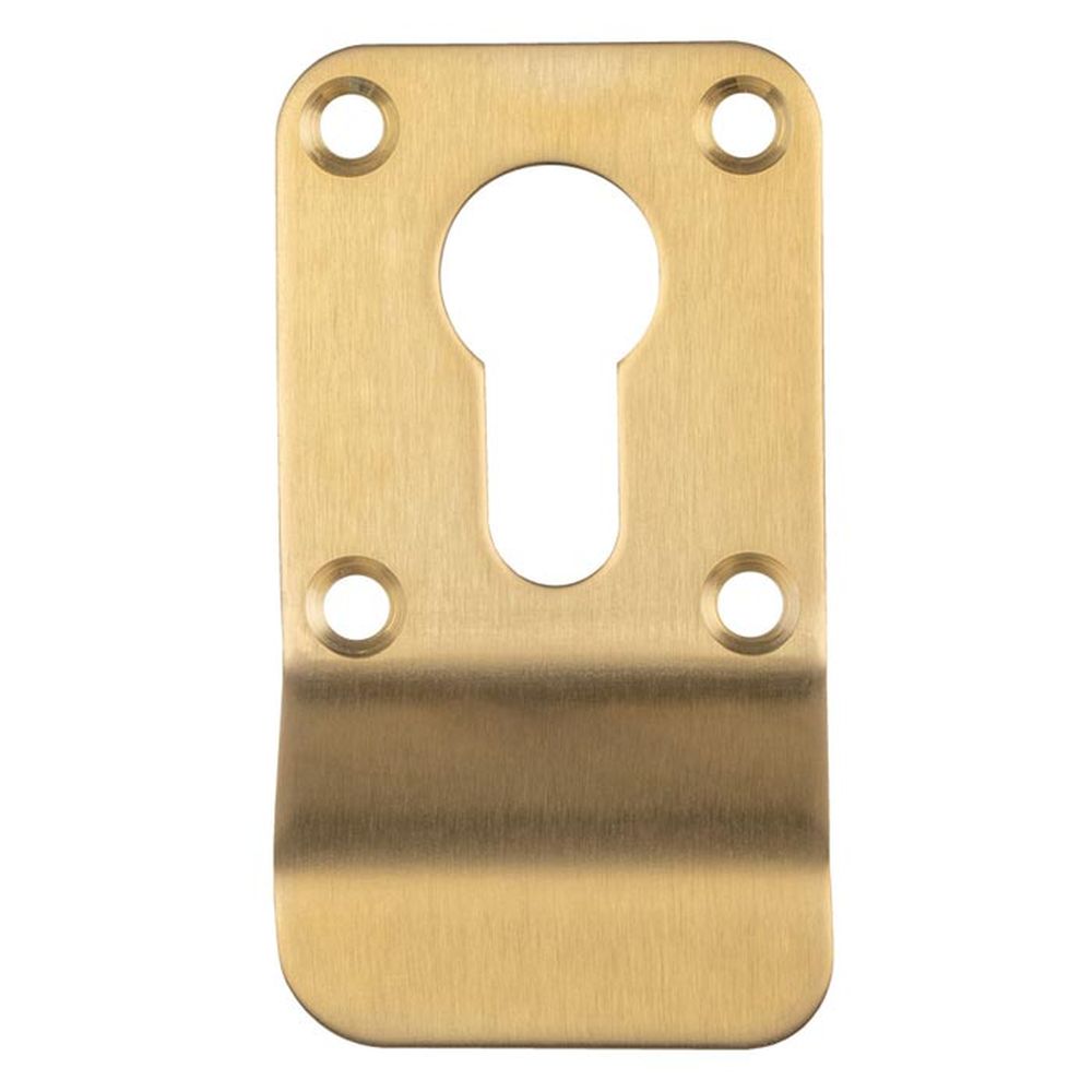 This is an image of Carlisle Brass - Euro Profile Cylinder Pull - Satin PVD available to order from T.H Wiggans Architectural Ironmongery in Kendal, quick delivery and discounted prices.