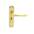 This is an image of Manital - Ibra Lever on WC Backplate - Polished Brass available to order from T.H Wiggans Architectural Ironmongery in Kendal, quick delivery and discounted prices.