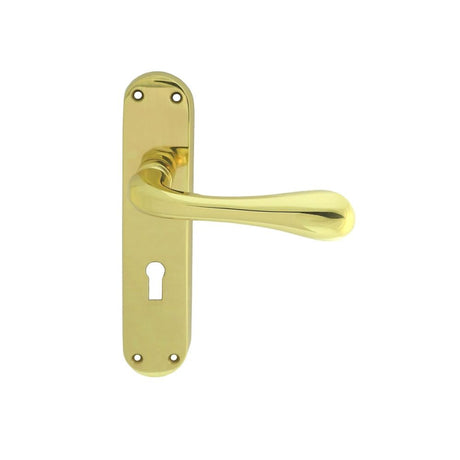 This is an image of Manital - Astro Lever on Lock Backplate - Polished Brass available to order from T.H Wiggans Architectural Ironmongery in Kendal, quick delivery and discounted prices.