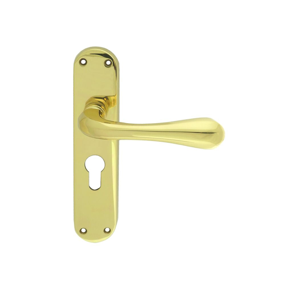 This is an image of Manital - Astro Lever on Euro Lock Backplate - Polished Brass available to order from T.H Wiggans Architectural Ironmongery in Kendal, quick delivery and discounted prices.