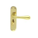 This is an image of Manital - Astro Lever on WC Backplate - Polished Brass available to order from T.H Wiggans Architectural Ironmongery in Kendal, quick delivery and discounted prices.