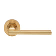 This is an image of Carlisle Brass - Trentino Lever on Rose - Satin Brass available to order from T.H Wiggans Architectural Ironmongery in Kendal, quick delivery and discounted prices.