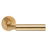 This is an image of Carlisle Brass - Amiata Lever on Rose - Satin Brass available to order from T.H Wiggans Architectural Ironmongery in Kendal, quick delivery and discounted prices.