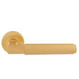 This is an image of Carlisle Brass - Masano Lever On Rose - Satin Brass available to order from T.H Wiggans Architectural Ironmongery in Kendal, quick delivery and discounted prices.