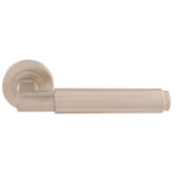 This is an image of Carlisle Brass - Masano Lever On Rose - Satin Nickel available to order from T.H Wiggans Architectural Ironmongery in Kendal, quick delivery and discounted prices.