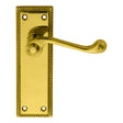 This is an image of Carlisle Brass - Georgian Lever on Sweedor Lock Backplate - Polished Brass available to order from T.H Wiggans Architectural Ironmongery in Kendal, quick delivery and discounted prices.