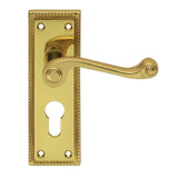 This is an image of Carlisle Brass - Georgian Lever on Euro Lock Backplate - Polished Brass available to order from T.H Wiggans Architectural Ironmongery in Kendal, quick delivery and discounted prices.