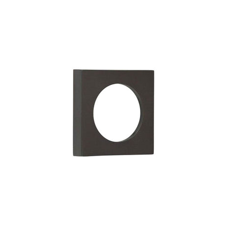 This is an image of Burlington - 52x52mm DB plain square outer rose for esc available to order from T.H Wiggans Architectural Ironmongery in Kendal, quick delivery and discounted prices.