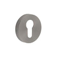 This is an image of Frelan - GM Euro Profile Escutcheon PVD 52x8mm available to order from T.H Wiggans Architectural Ironmongery in Kendal, quick delivery and discounted prices.