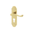 This is an image showing the Frelan - Epsom Euro Lock Profile Handles on Backplates - Polished Brass available to order from T.H. Wiggans Ironmongery in Kendal