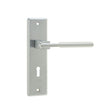 This is an image showing the Frelan - DELTA LOCK FURNITURE SC available to order from T.H. Wiggans Ironmongery in Kendal