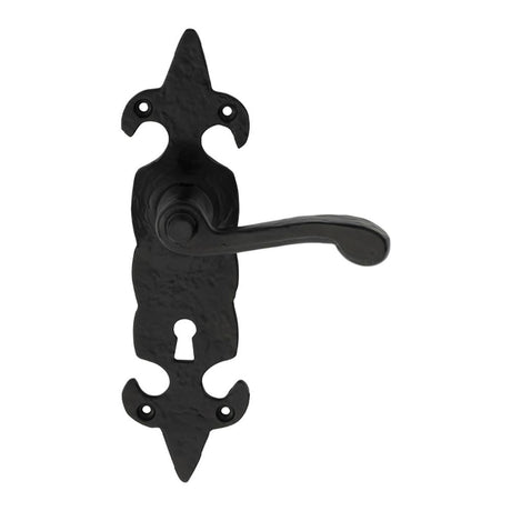 This is an image of Ludlow - Fleur de lys' Lever on Lock Backplate - Black Antique available to order from T.H Wiggans Architectural Ironmongery in Kendal, quick delivery and discounted prices.