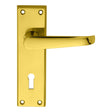 This is an image of Carlisle Brass - Victorian Lever on Lock Backplate - Polished Brass available to order from T.H Wiggans Architectural Ironmongery in Kendal, quick delivery and discounted prices.