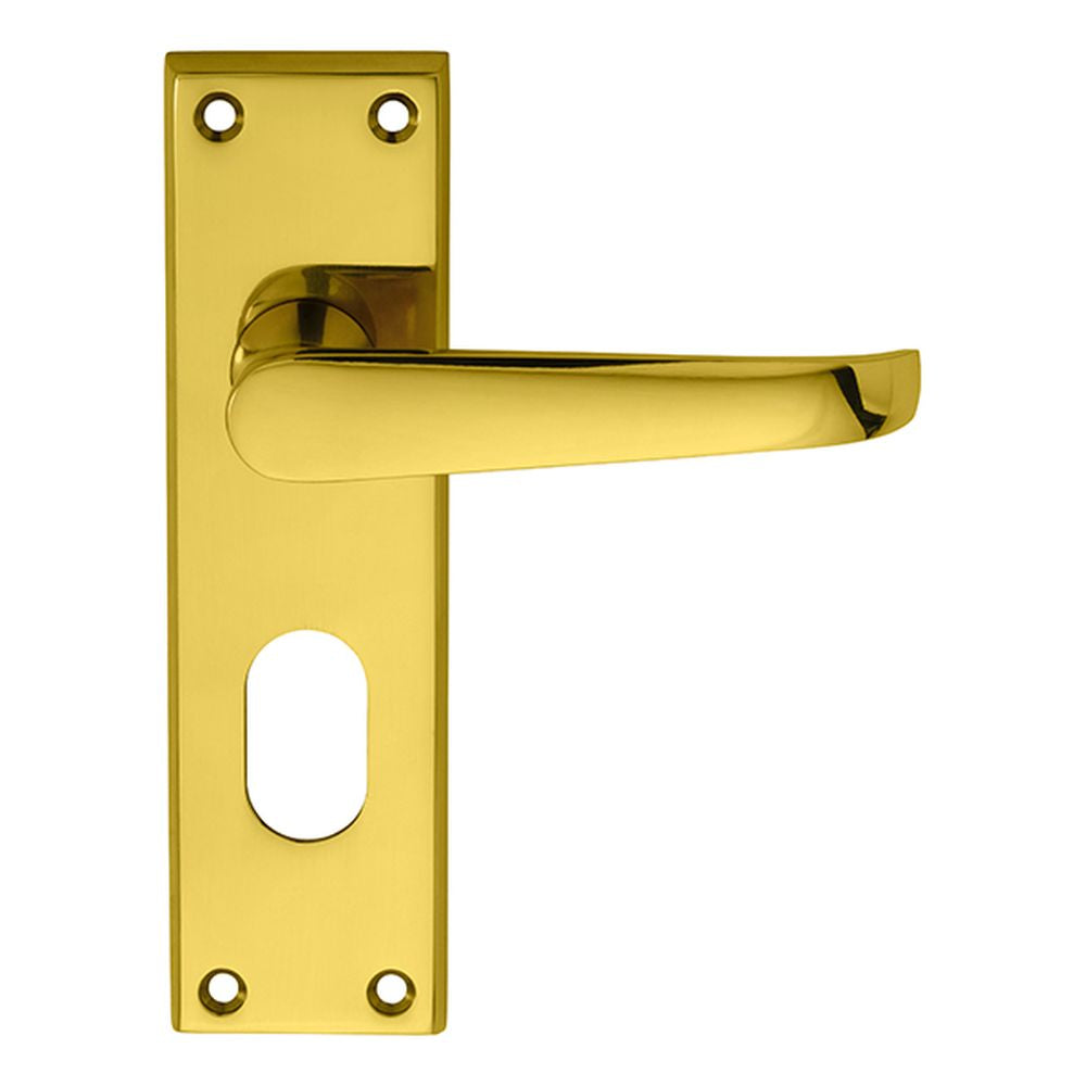 This is an image of Carlisle Brass - Victorian Lever on Oval Lock Backplate - Polished Brass available to order from T.H Wiggans Architectural Ironmongery in Kendal, quick delivery and discounted prices.