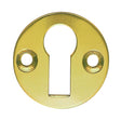 This is an image of Carlisle Brass - Flat Escutcheon - Polished Brass available to order from T.H Wiggans Architectural Ironmongery in Kendal, quick delivery and discounted prices.