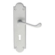 This is an image of Carlisle Brass - Victorian Scroll Lever on Shaped Lock Backplate - Satin Chrome available to order from T.H Wiggans Architectural Ironmongery in Kendal, quick delivery and discounted prices.